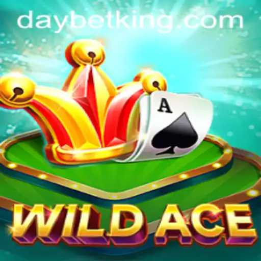 WildAce and the Thrilling World of DAYBET